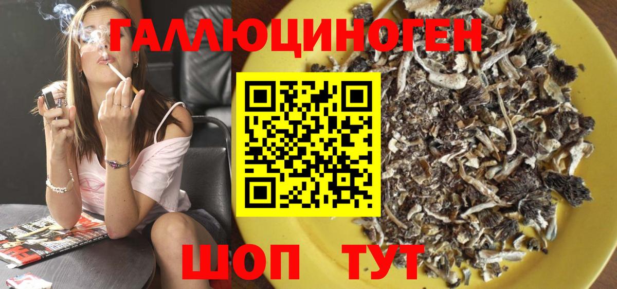 Александров  Галлюциногенные грибы Cubensis  Вход с VPN 